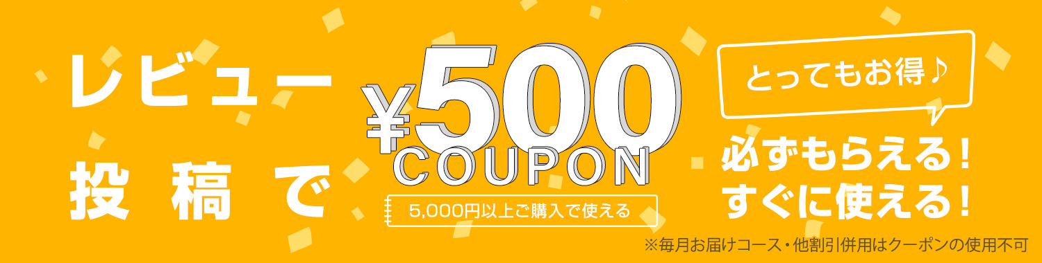 レビューを書くともらえる500円クーポン